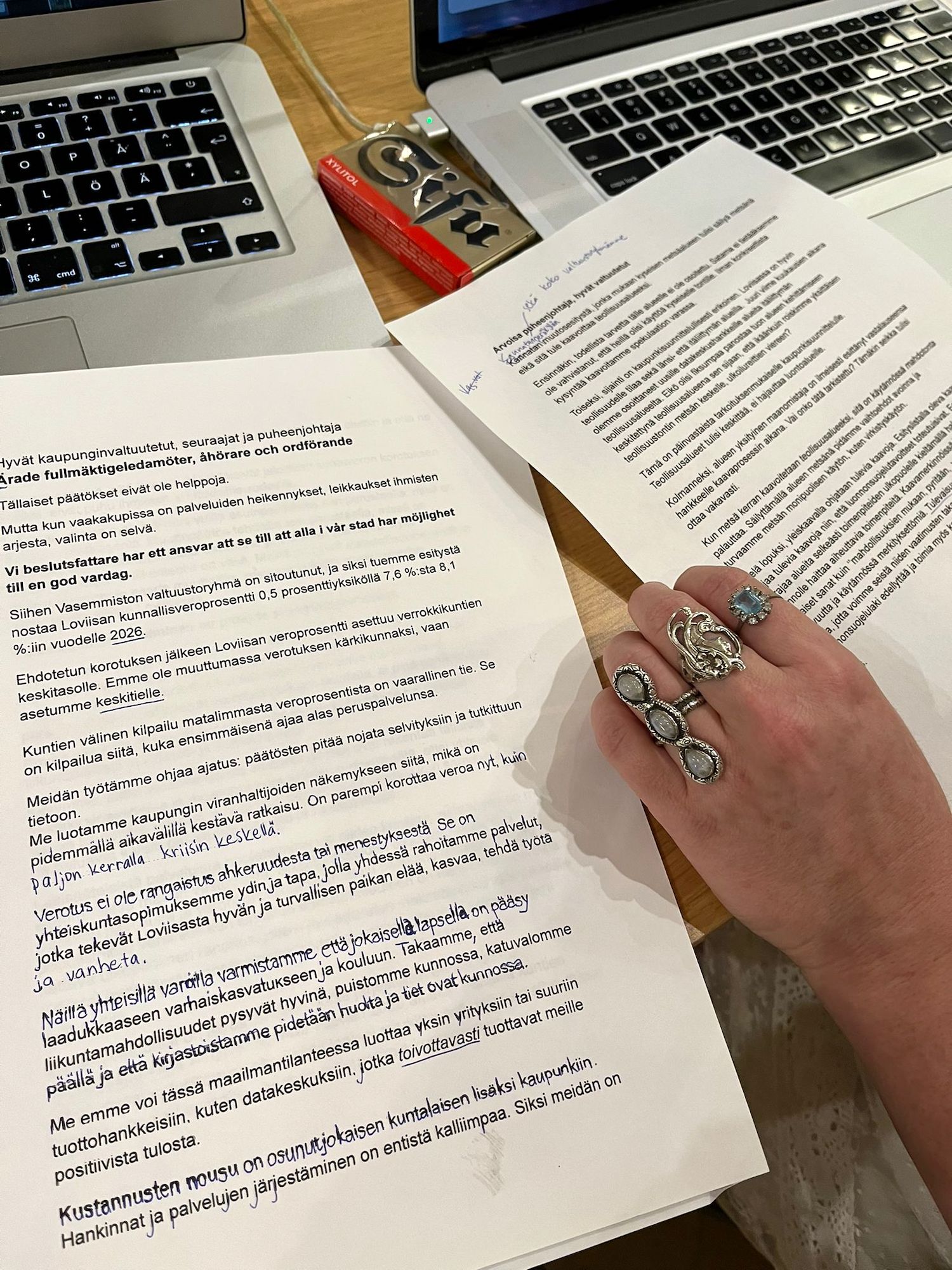 Loviisan vasemmisto puhe valtuustossa