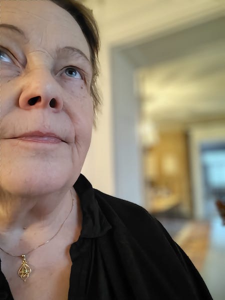 Kristiina Kalleinen - Loviisan vasemmisto - kuntavaalit
